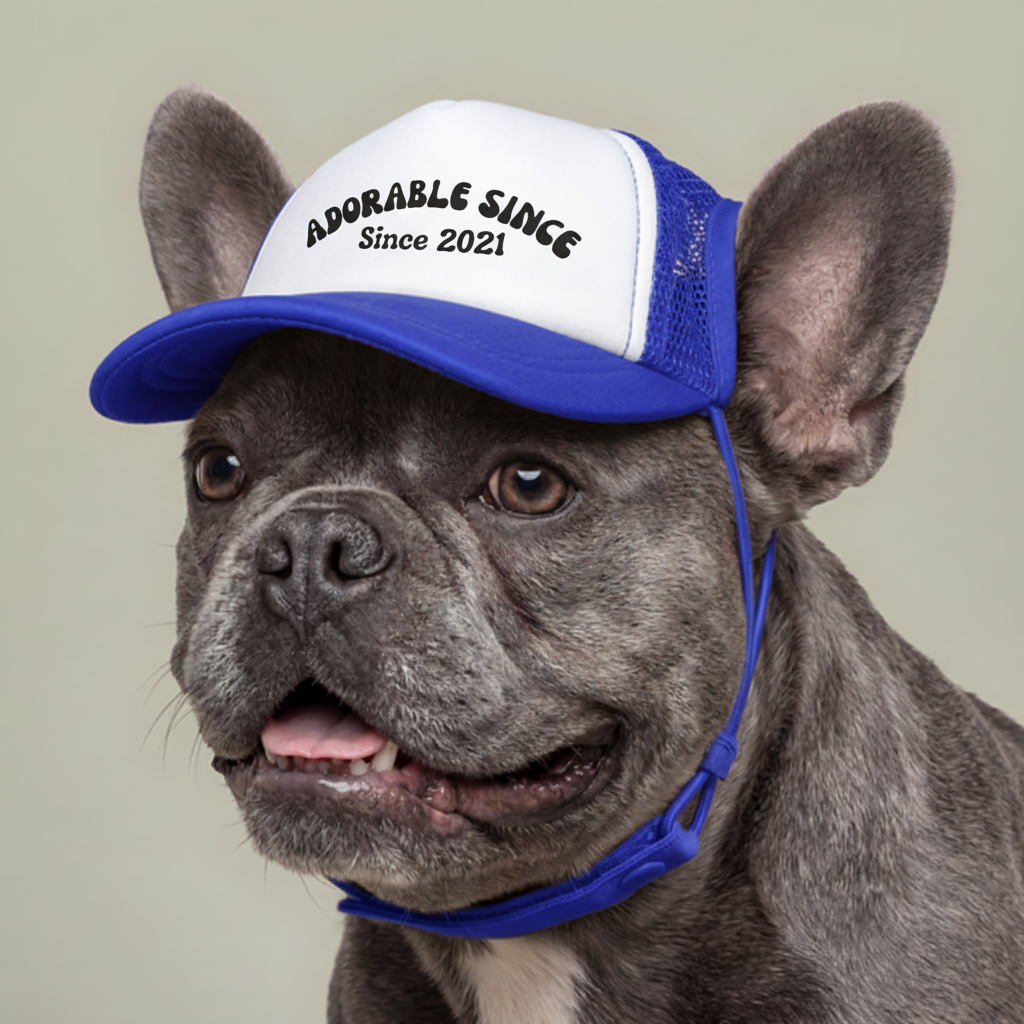 Blue dog hat mockup with the listing artwork referenced